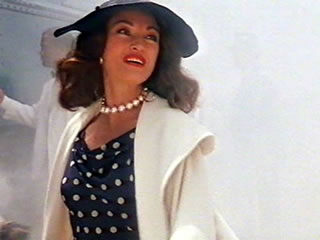 Jane Seymour, A Passion For Justice