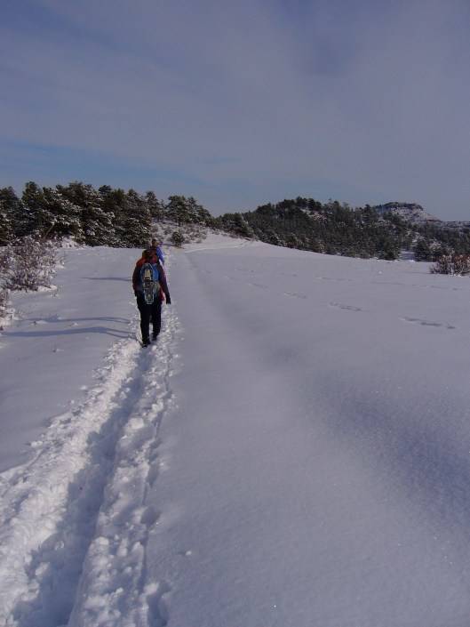 Snowshoe at Hall Ranch
