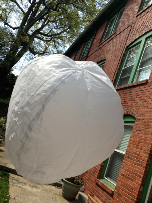 I was trying to make it fly so that you'd recognize what it was.